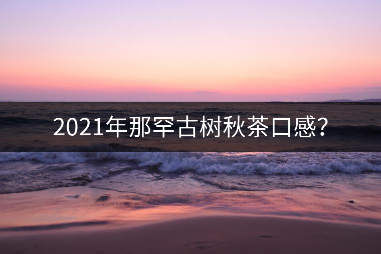 2021年那罕古樹秋茶口感? 2021年那罕古樹秋茶口感?
