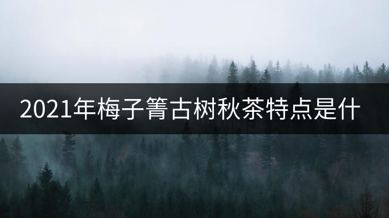 2021年梅子箐古樹秋茶特點是什么？