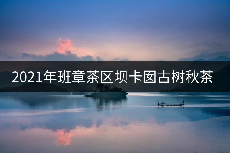2021年班章茶區(qū)壩卡囡古樹秋茶口感？