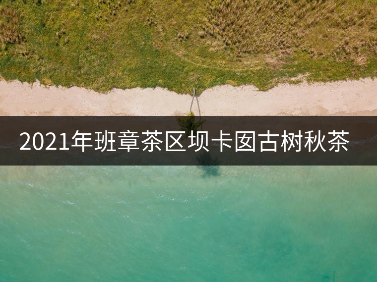 2021年班章茶區(qū)壩卡囡古樹秋茶多少錢一公斤？