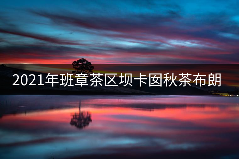 2021年班章茶區(qū)壩卡囡秋茶布朗茶系中的甜茶類！