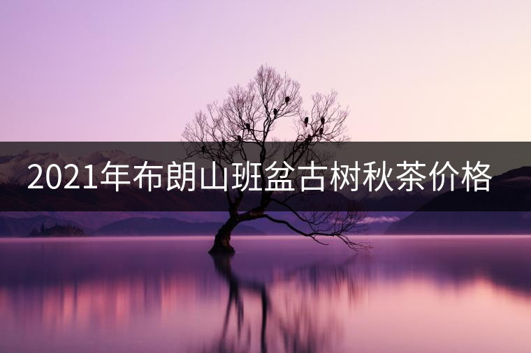 2021年布朗山班盆古樹秋茶價格? 2021年布朗山班盆古樹秋茶價格?