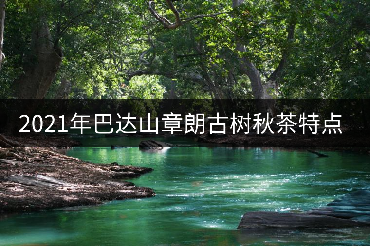 2021年巴達(dá)山章朗古樹秋茶特點(diǎn)？