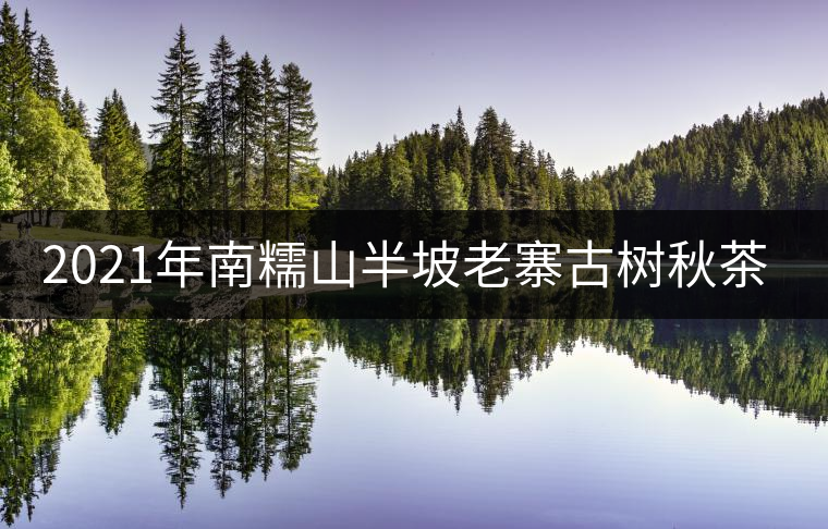 2021年南糯山半坡老寨古樹秋茶特點？