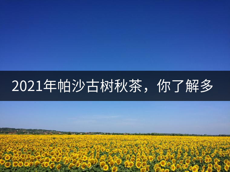 2021年帕沙古樹(shù)秋茶，你了解多少？