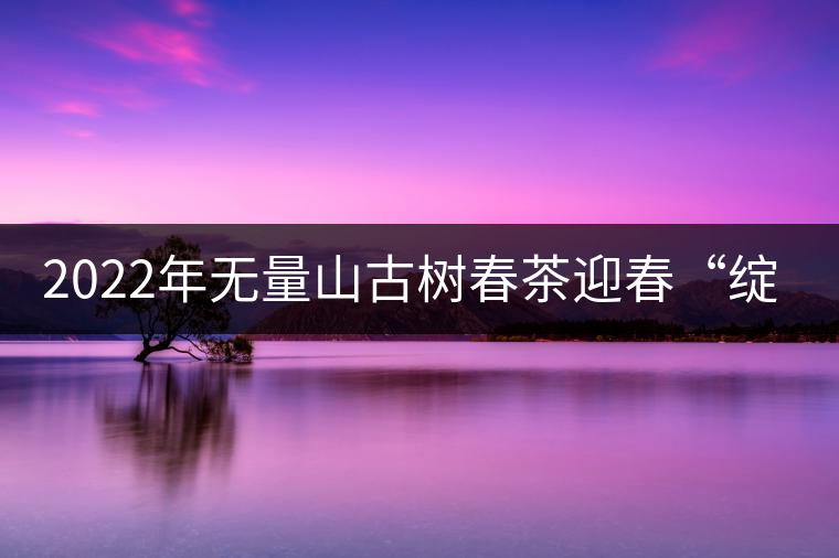 2022年無量山古樹春茶迎春“綻放”！