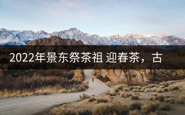 2022年景東祭茶祖 迎春茶，古樹春茶多少錢一公斤？