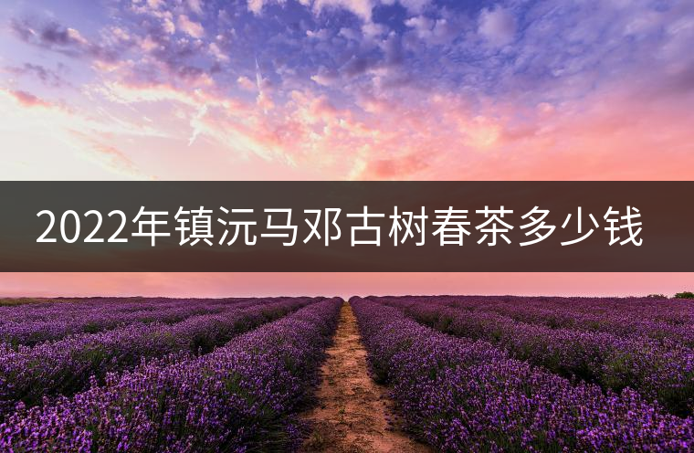 2022年鎮(zhèn)沅馬鄧古樹春茶多少錢一公斤？