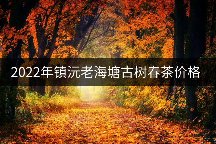 2022年鎮(zhèn)沅老海塘古樹春茶價(jià)格？