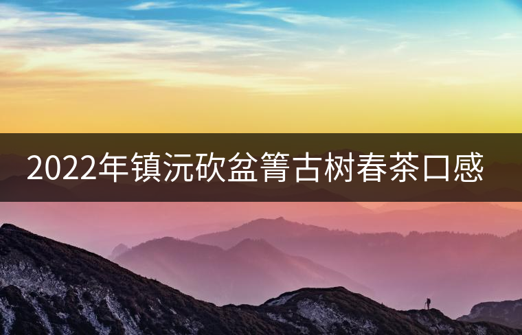 2022年鎮(zhèn)沅砍盆箐古樹(shù)春茶口感? 2022年鎮(zhèn)沅砍盆箐古樹(shù)春茶口感?