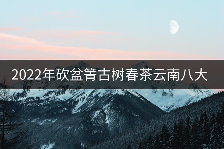 2022年砍盆箐古樹春茶云南八大茗茶 2022年砍盆箐古樹春茶云南八大茗茶