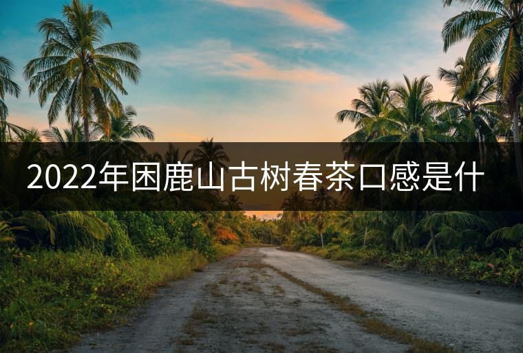 2022年困鹿山古樹春茶口感是什么？