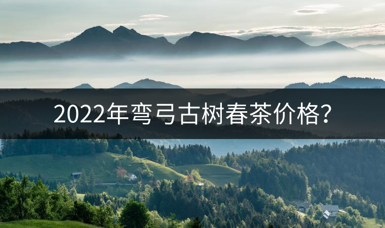 2022年彎弓古樹春茶價格？