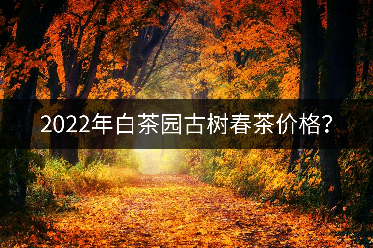 2022年白茶園古樹春茶價(jià)格？