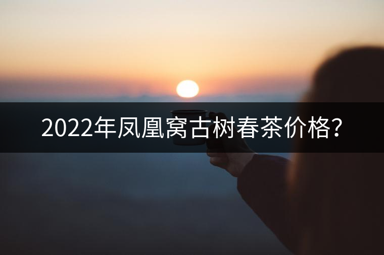 2022年鳳凰窩古樹(shù)春茶價(jià)格？
