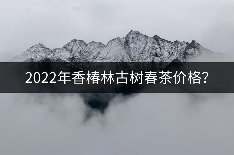 2022年香椿林古樹春茶價格？