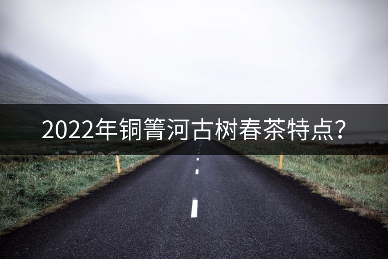 2022年銅箐河古樹春茶特點？