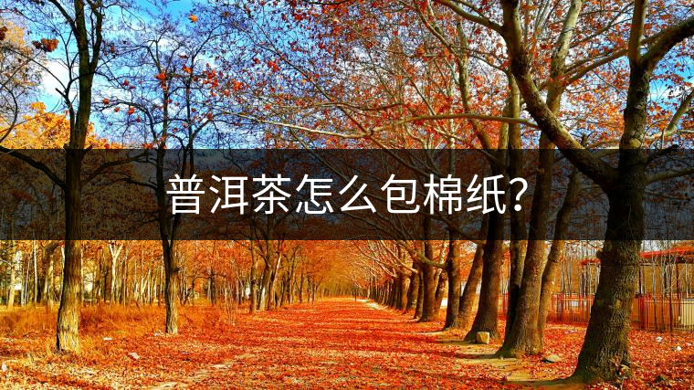 普洱茶怎么包棉紙？