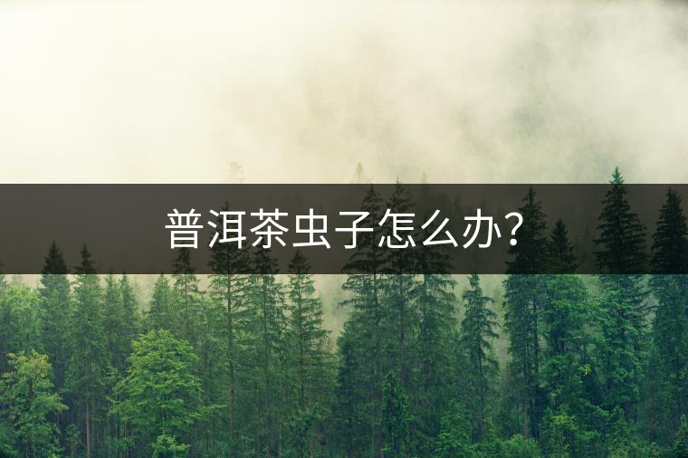 普洱茶蟲子怎么辦？