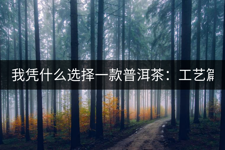 我憑什么選擇一款普洱茶：工藝篇？