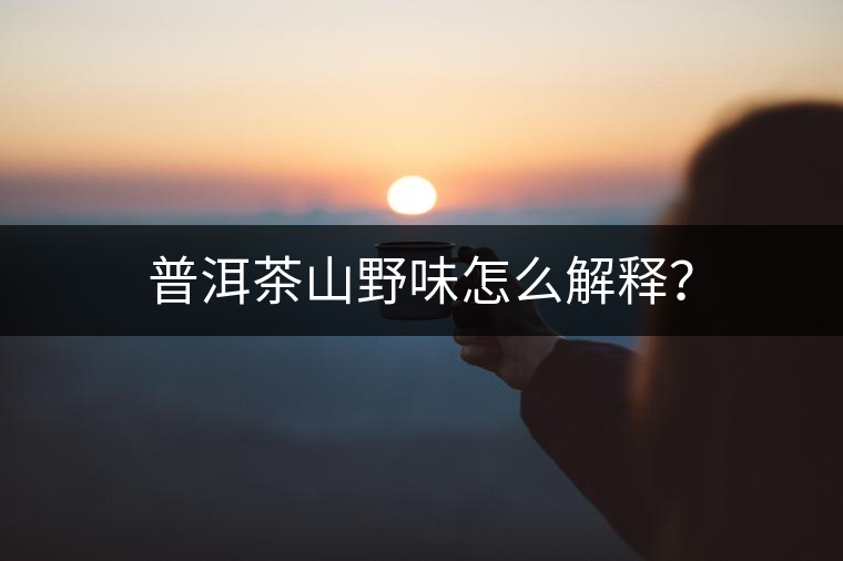 普洱茶山野味怎么解釋？
