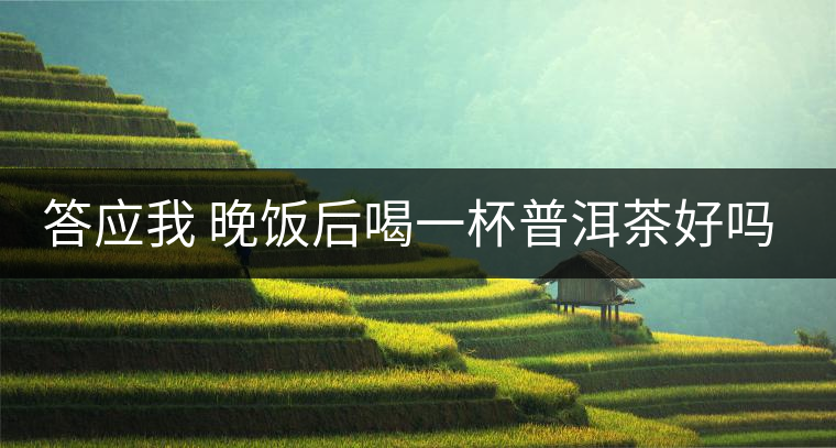 答應我 晚飯后喝一杯普洱茶好嗎？