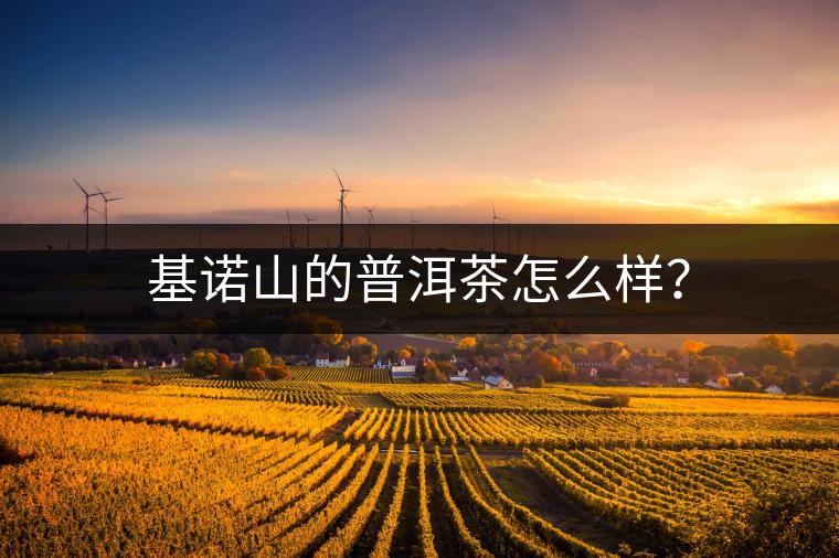 基諾山的普洱茶怎么樣？