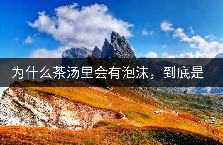 為什么茶湯里會(huì)有泡沫，到底是怎么回事？