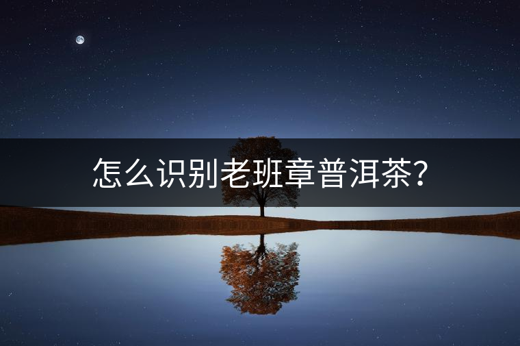 怎么識(shí)別老班章普洱茶？