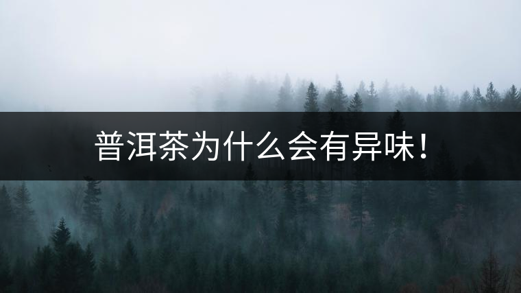 普洱茶為什么會(huì)有異味！