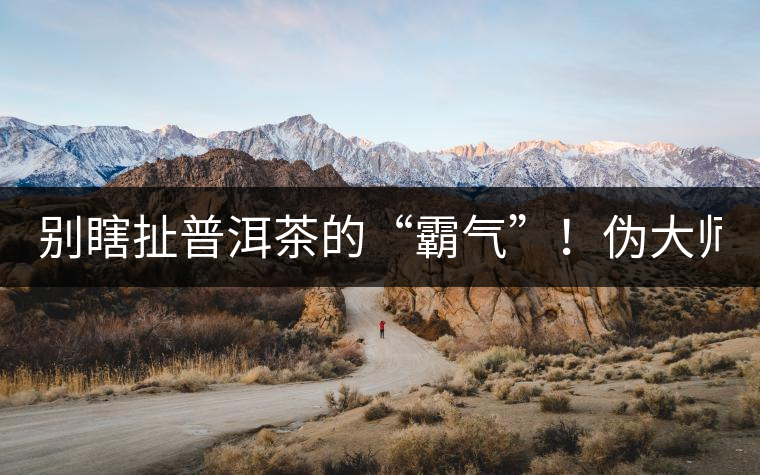 別瞎扯普洱茶的“霸氣”！偽大師！