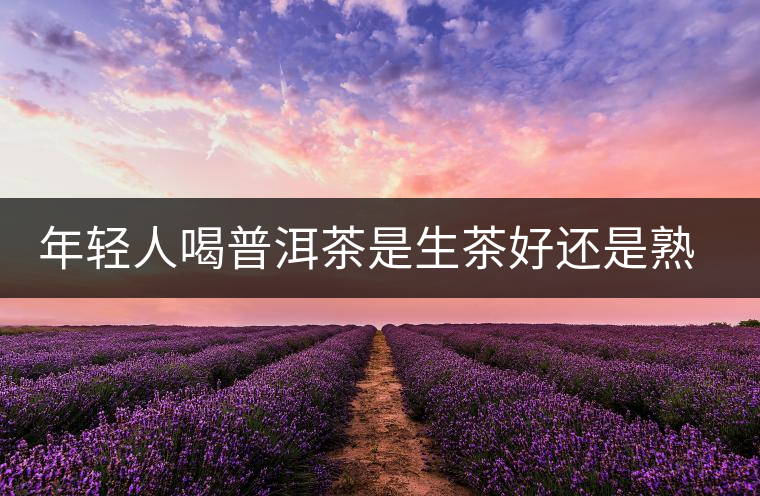 年輕人喝普洱茶是生茶好還是熟茶好？該怎么選擇？