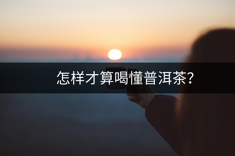 　怎樣才算喝懂普洱茶？