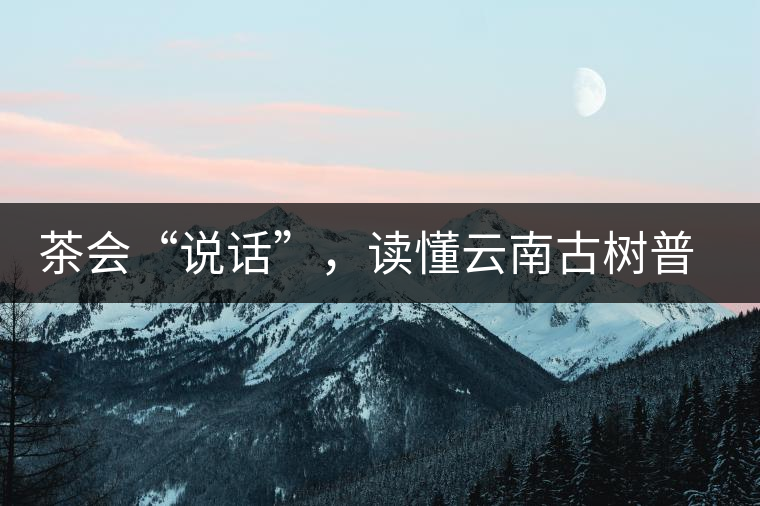 茶會“說話”，讀懂云南古樹普洱茶的秘訣