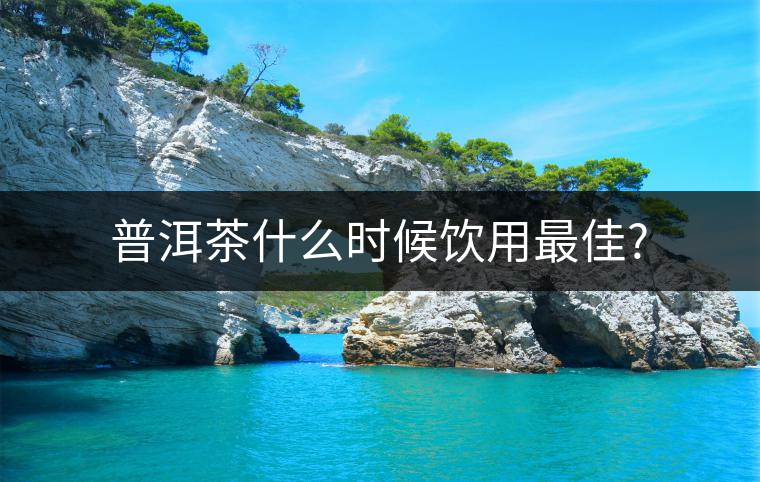 普洱茶什么時(shí)候飲用最佳? 普洱茶什么時(shí)候飲用最佳?