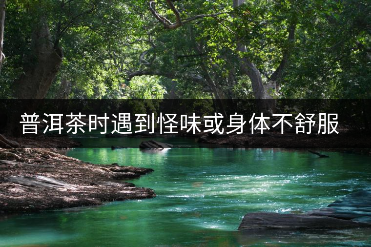 普洱茶時遇到怪味或身體不舒服時，怎么破？
