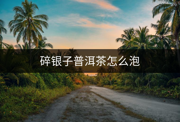 碎銀子普洱茶怎么泡