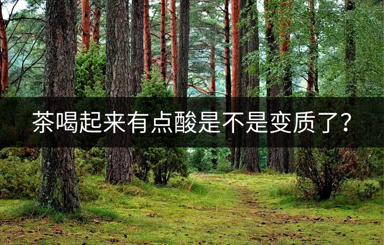 茶喝起來有點(diǎn)酸是不是變質(zhì)了？