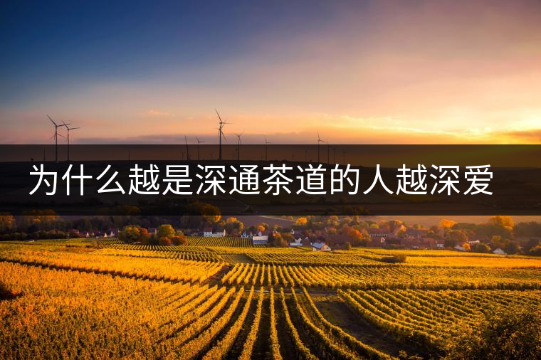 為什么越是深通茶道的人越深愛普洱茶？喜歡普洱茶，有三個原因。