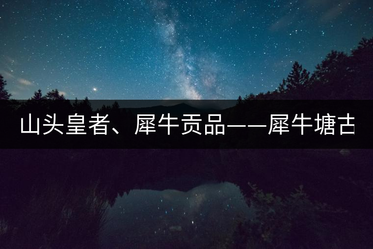 山頭皇者、犀牛貢品——犀牛塘古樹茶！