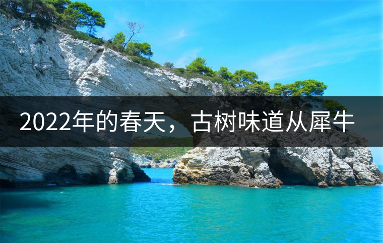 2022年的春天，古樹(shù)味道從犀牛塘開(kāi)始！