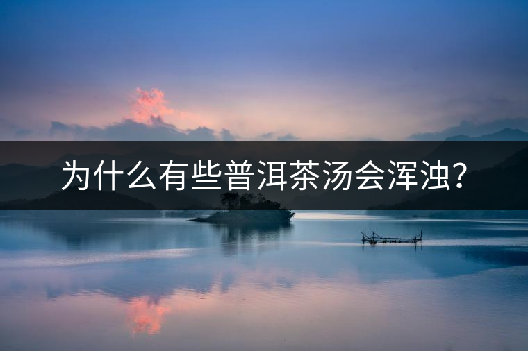 為什么有些普洱茶湯會渾濁? 為什么有些普洱茶湯會渾濁?