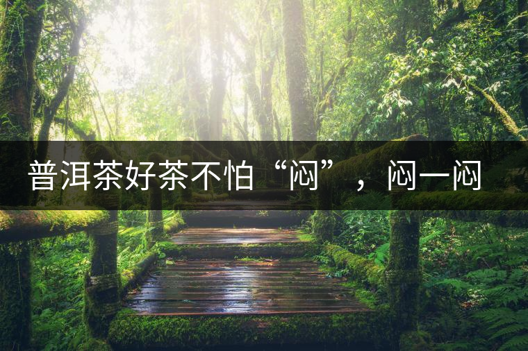 普洱茶好茶不怕“悶”，悶一悶看本味