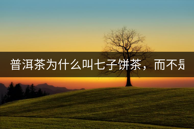 普洱茶為什么叫七子餅茶，而不是六子餅、八子餅......？