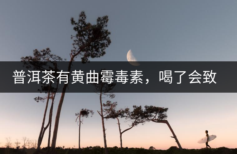 普洱茶有黃曲霉毒素，喝了會致癌？不黑不吹，咱用事實說話
