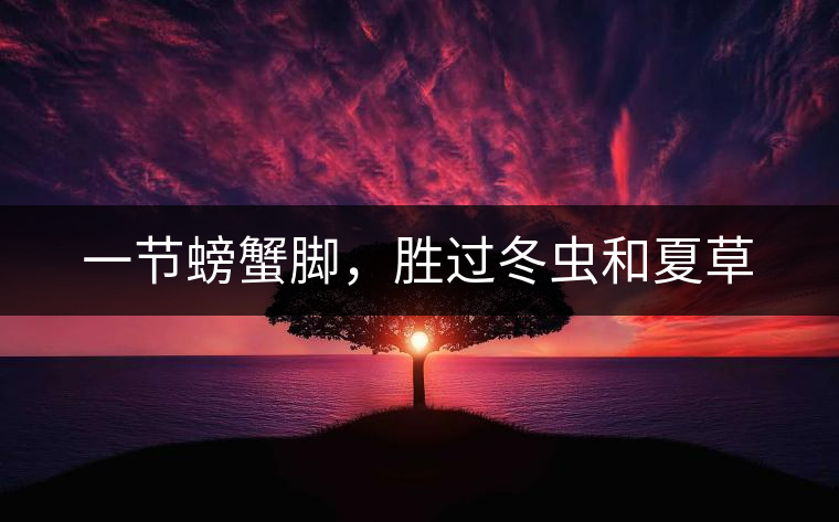 一節(jié)螃蟹腳，勝過冬蟲和夏草