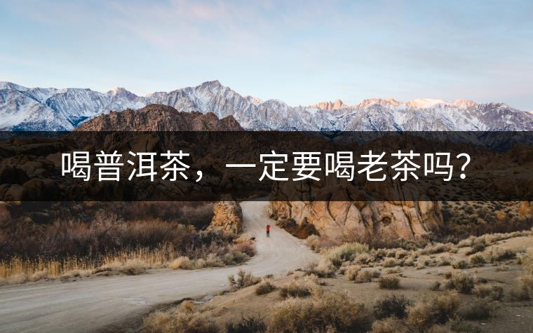 喝普洱茶，一定要喝老茶嗎？