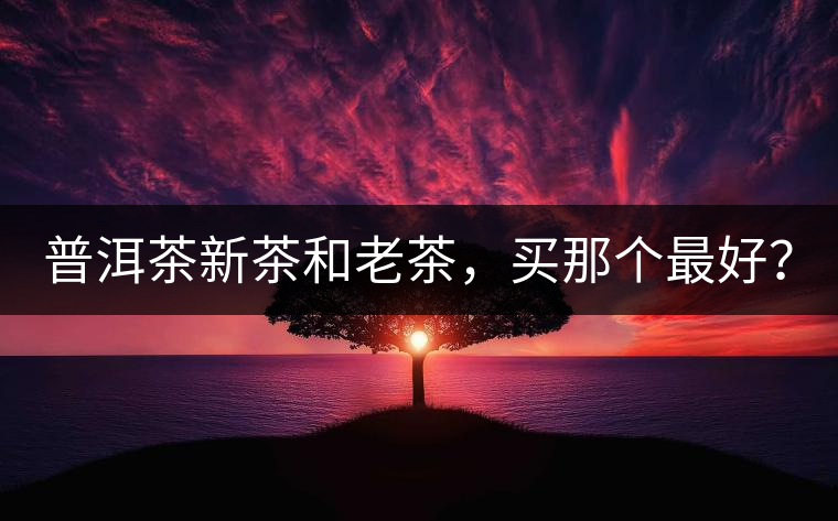普洱茶新茶和老茶，買那個(gè)最好？