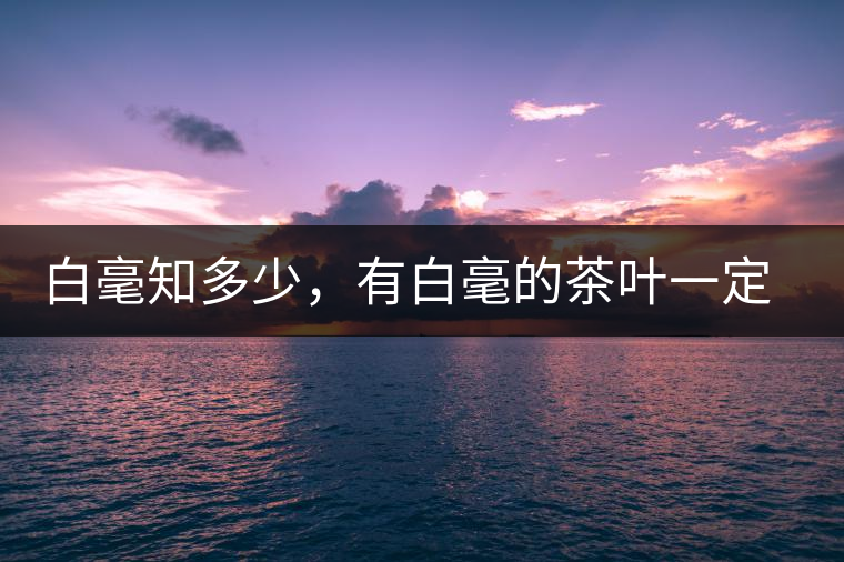 白毫知多少，有白毫的茶葉一定好嗎？