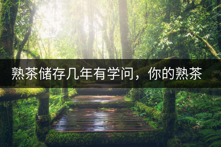 熟茶儲(chǔ)存幾年有學(xué)問，你的熟茶存幾年？